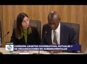 Interpretación Congreso de la Nación Argentina Sofia Creo